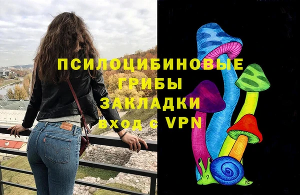 СК Ладушкин