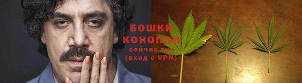 дживик Липки