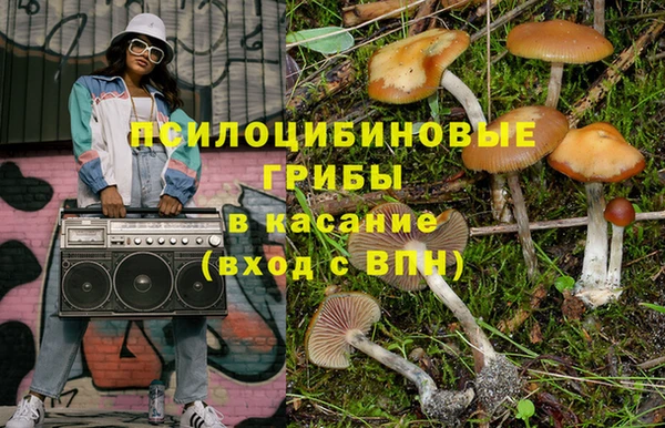 СК Ладушкин