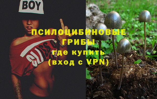 гидра Лабытнанги